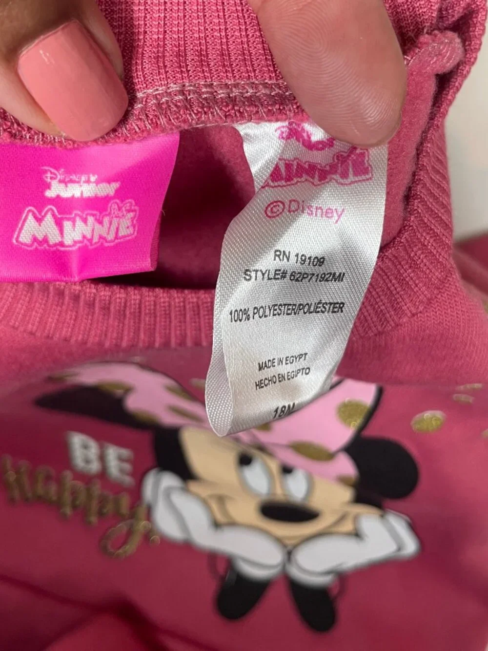 Disney Minnie Mouse Kidcore Pink Fleece Sweatshirt Pant Set 18M